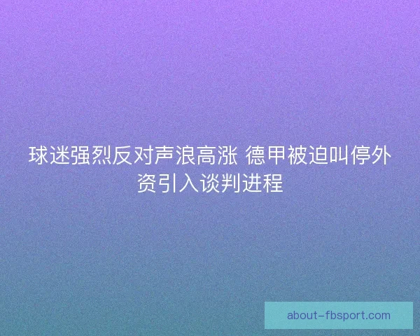 球迷强烈反对声浪高涨 德甲被迫叫停外资引入谈判进程
